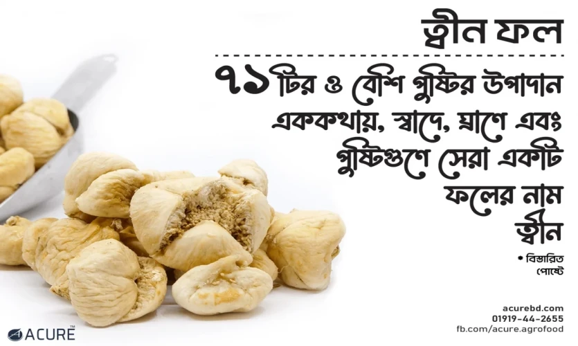 ত্বীন ফলের ১৩ টি গোপন রহস্য যা আমাদের সুস্থ ও সুন্দর করে তোলে: