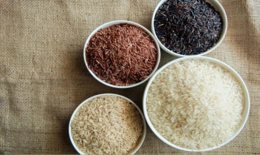 Black Rice: পুষ্টিগুণ, উপকারিতা ও কেন এটি সুপারফুড