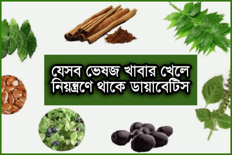 ডায়াবেটিসে উপকারী ভেষজ: Best Herbs for Diabetes and How They Work
