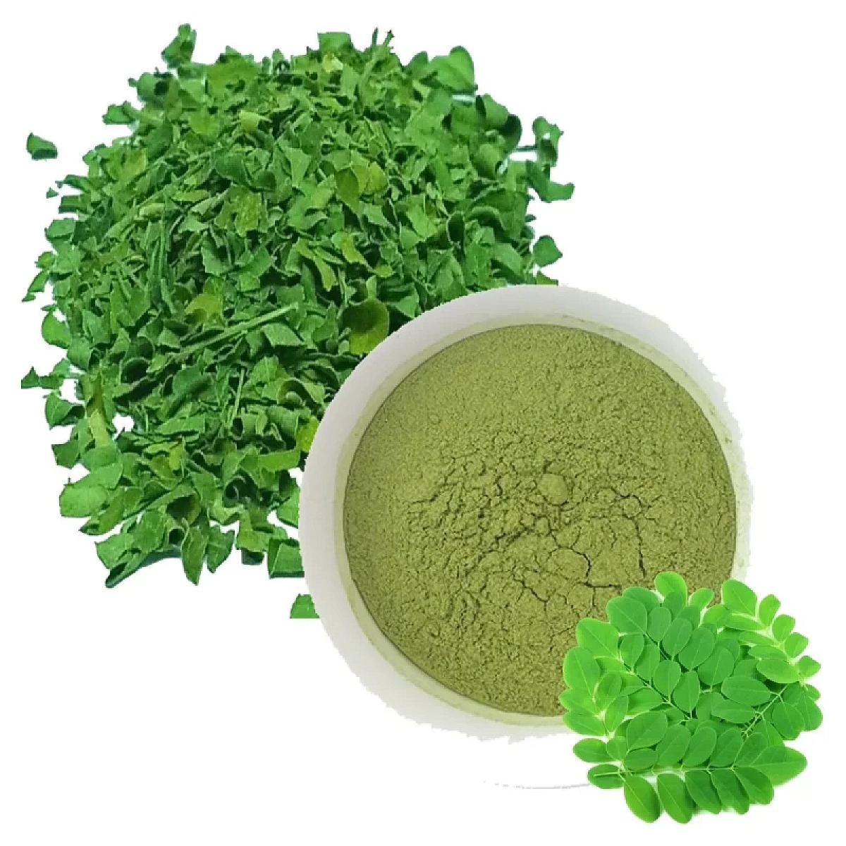 Pure organic moringa powder in a bowl with fresh leaves for sale in Bangladesh